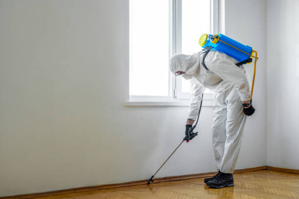 Best Pest Control for Warehouses  in Villisca, IA